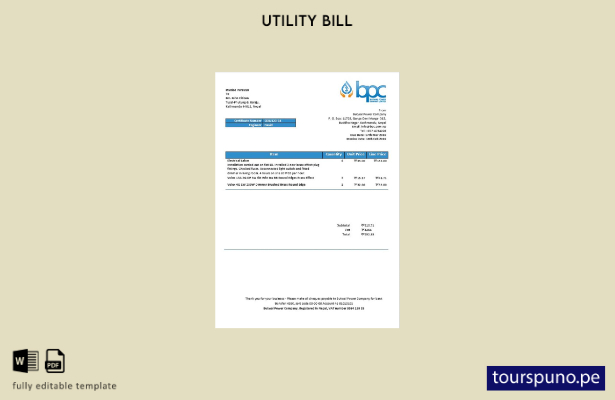 lista para imprimir plantilla de factura de servicios públicos de electricidad 5